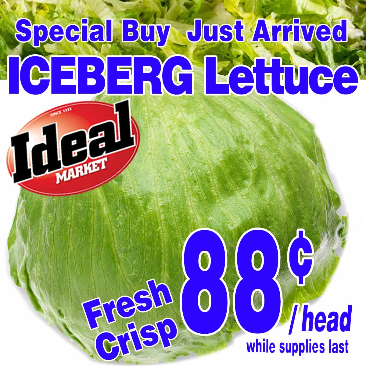 Lettuce Special